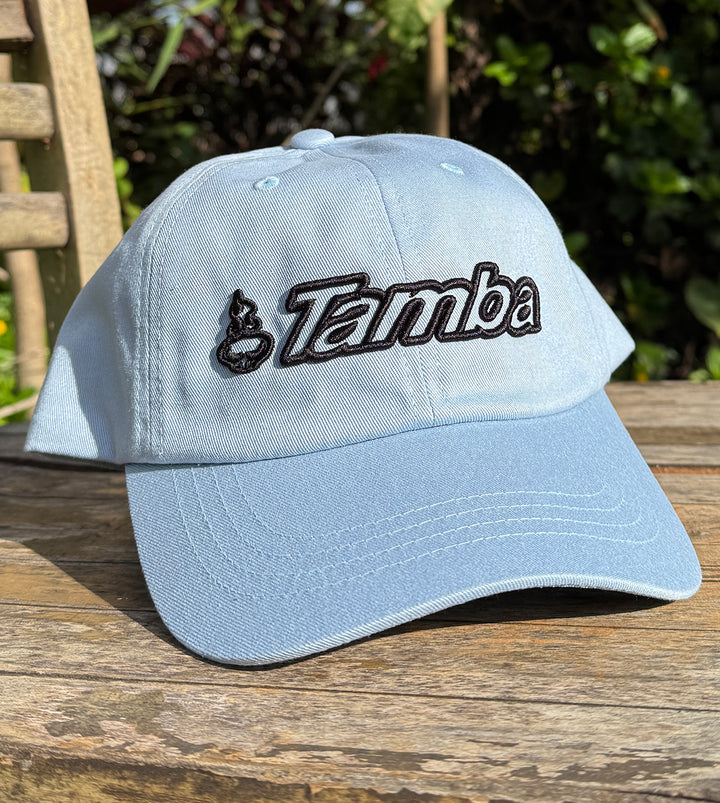 Spirit Inline 3D Snapback Dad Cap - Light Blue/Black